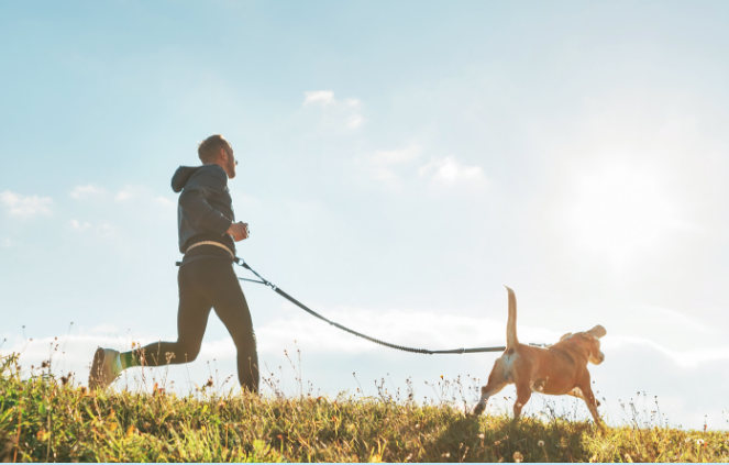 Jogger joggt mit Hund