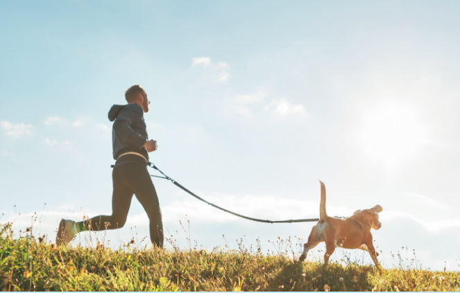 Jogger jogging his dog