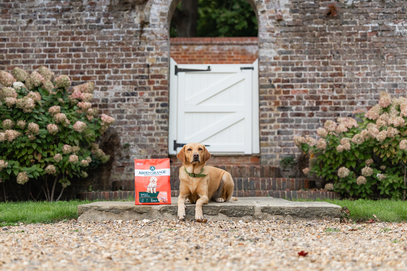 Leicht bewachsenes Haus im britischen Stil