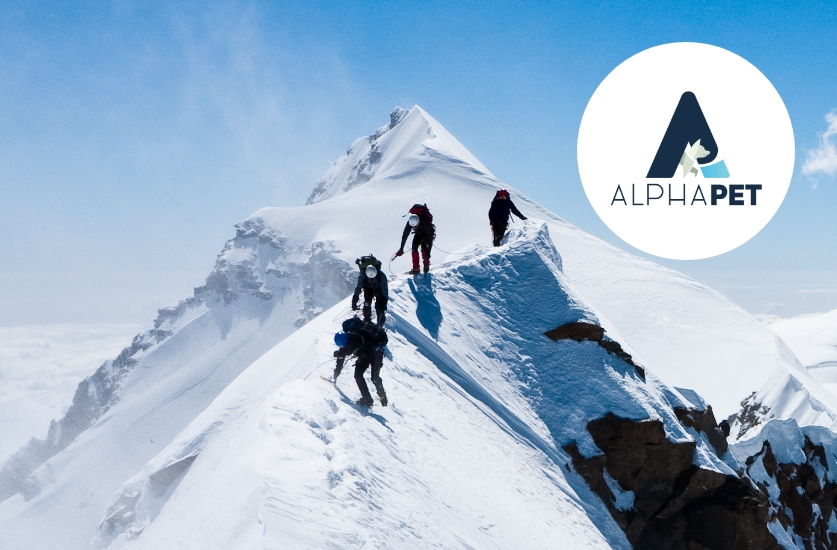 AlphaPet Vision Logo über einem verschneiten Berggipfel mit 4 Kletterern, welche diesen erreichen