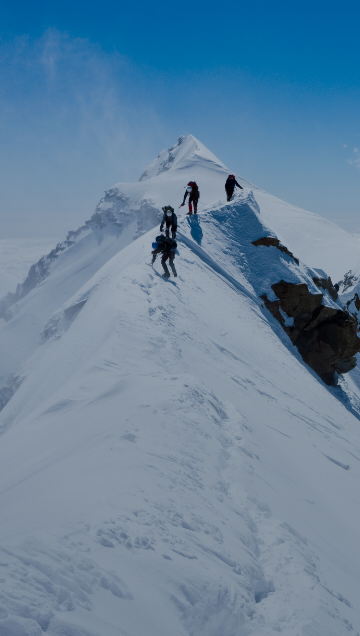 AlphaPet Vision Logo über einem verschneiten Berggipfel mit 4 Kletterern, welche diesen erreichen