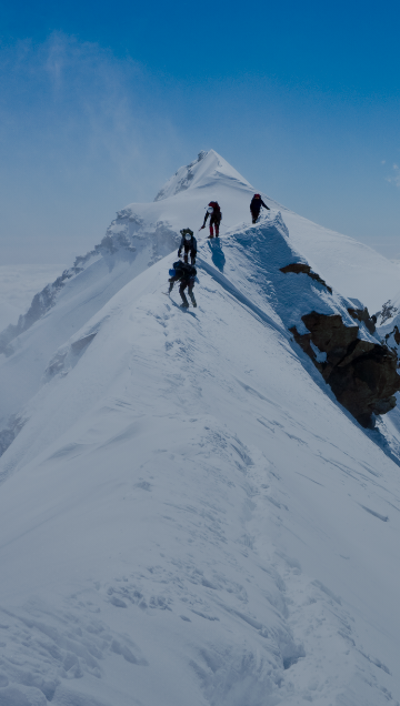 AlphaPet Vision logo above a snowy mountain top with 4 climbers approaching it